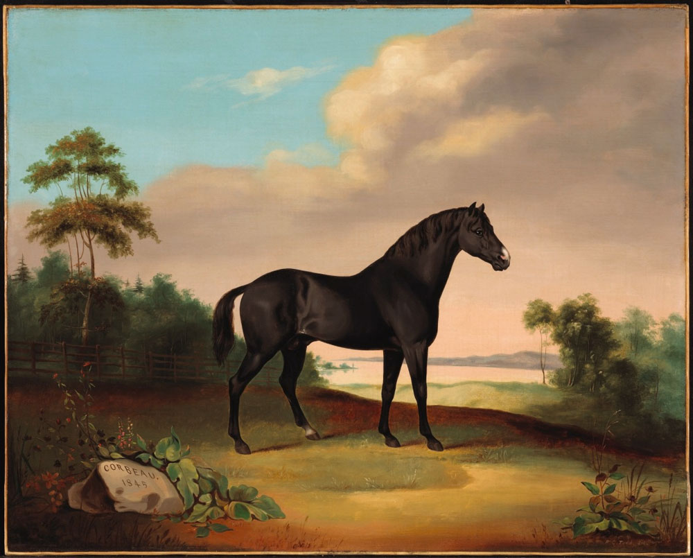 Todd, Robert Clow : Corbeau, cheval de trot