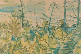 Humphrey, J. : Beachwoods