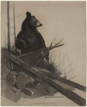 Hennessey, Frank Charles : Ours noir