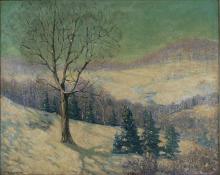 Winter Landscape
