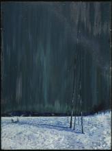 Johnston, F. H. :A Northern Night